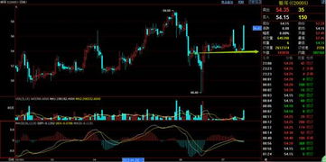 歡迎訪問渤海商品交易所網(wǎng)站!