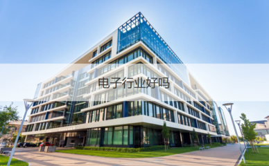 柳州微電子行業 企業待遇、工作體驗與投資管理分析